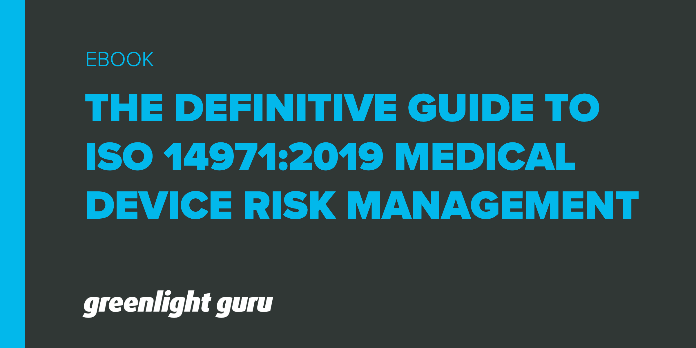 ISO 14971 Risk Management: Definitive Guide for Medical Devices & PDF
